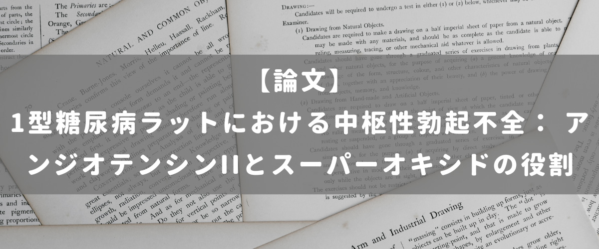 1型糖尿病ラットにおける中枢性勃起不全： アンジオテンシンIIとスーパーオキシドの役割