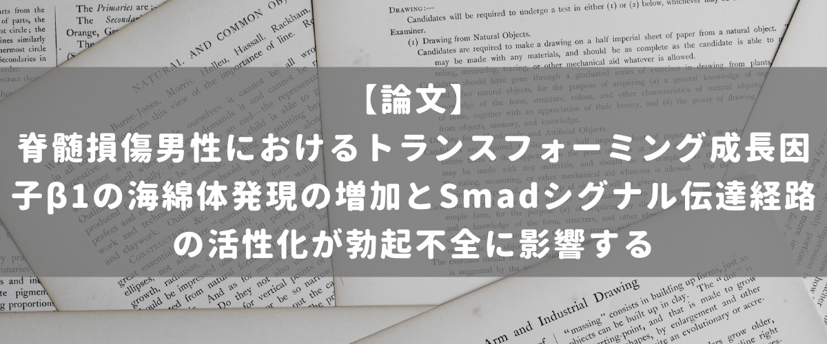 脊髄損傷男性におけるトランスフォーミング成長因子β1の海綿体発現の増加とSmadシグナル伝達経路の活性化が勃起不全に影響する