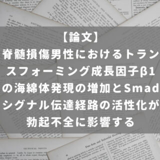 脊髄損傷男性におけるトランスフォーミング成長因子β1の海綿体発現の増加とSmadシグナル伝達経路の活性化が勃起不全に影響する