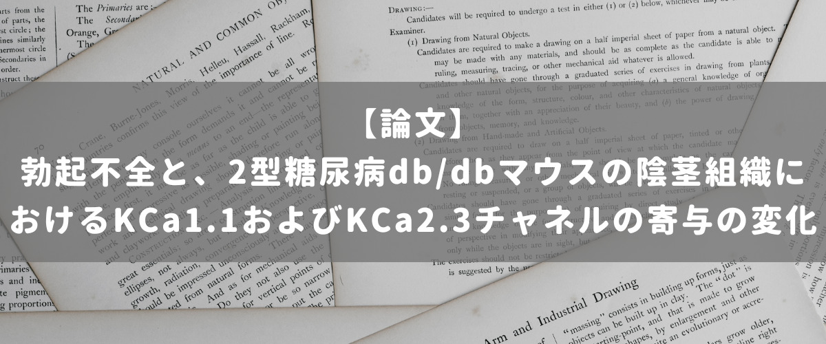 勃起不全と、2型糖尿病db/dbマウスの陰茎組織におけるKCa1.1およびKCa2.3チャネルの寄与の変化