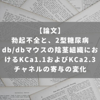 勃起不全と、2型糖尿病db/dbマウスの陰茎組織におけるKCa1.1およびKCa2.3チャネルの寄与の変化