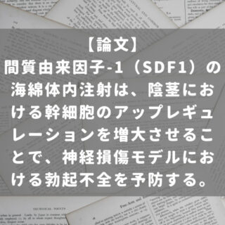 間質由来因子-1（SDF1）の海綿体内注射は、陰茎における幹細胞のアップレギュレーションを増大させることで、神経損傷モデルにおける勃起不全を予防する。