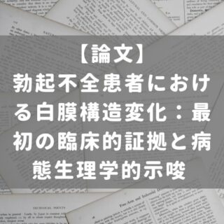 勃起不全患者における白膜構造変化：最初の臨床的証拠と病態生理学的示唆